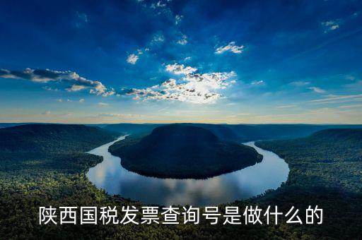 什么叫發(fā)票查詢(xún)號(hào)，發(fā)票查詢(xún)碼是什么 陜西地稅查詢(xún)輸入了發(fā)票代碼發(fā)票號(hào)碼后