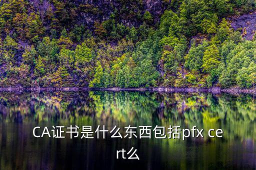 什么叫ca證書，什么事CA證書