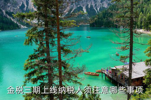 金稅三期山東什么時(shí)間啟用，金稅三期問(wèn)題
