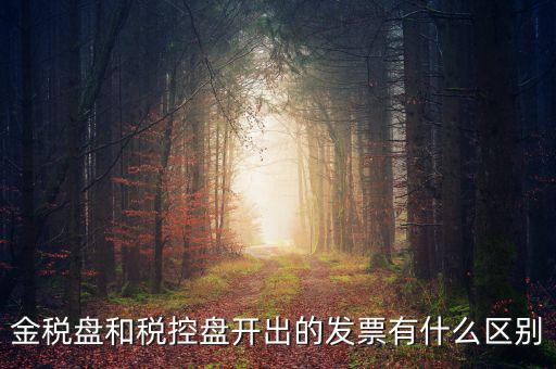金稅盤(pán)和稅控盤(pán)是什么，金稅盤(pán)和稅控盤(pán)開(kāi)出的發(fā)票有什么區(qū)別