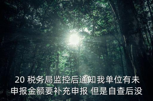 稅務(wù)局為什么風(fēng)險(xiǎn)報(bào)告，稅務(wù)局發(fā)來稅遵從風(fēng)險(xiǎn)分析報(bào)告什么意思