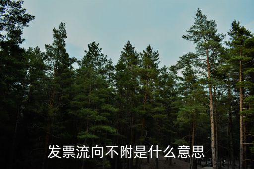 什么是流向票，發(fā)票流向不附是什么意思