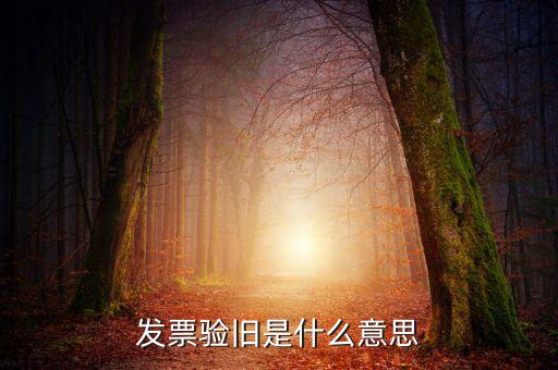 增值稅驗舊是什么意思，發(fā)票驗證時提示舊系統(tǒng)已驗舊是什么意思
