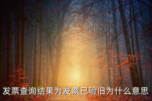 發(fā)票查詢(xún)驗(yàn)舊日期是什么意思，發(fā)票查詢(xún)結(jié)果為發(fā)票已驗(yàn)舊為什么意思