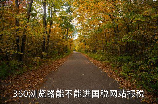 福建國(guó)稅網(wǎng)用什么瀏覽器，為什么無法打開福建國(guó)稅局網(wǎng)上申報(bào)網(wǎng)頁(yè)