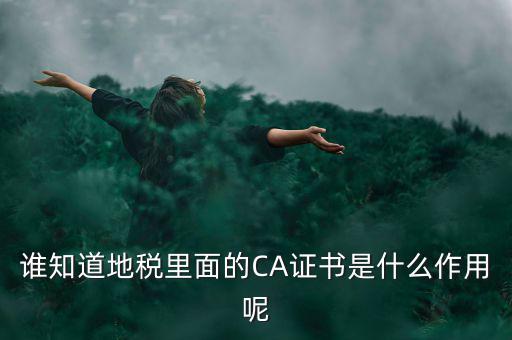 稅務(wù)企業(yè)ca登錄是什么意思，網(wǎng)上報(bào)稅CA驗(yàn)證系統(tǒng)是甚么