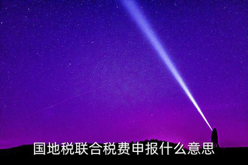 國(guó)稅地稅聯(lián)合有什么用，國(guó)地稅聯(lián)合稅費(fèi)申報(bào)什么意思