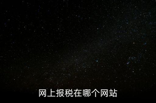 廣西網(wǎng)上辦稅的網(wǎng)址是什么意思，網(wǎng)上報稅在哪個網(wǎng)站