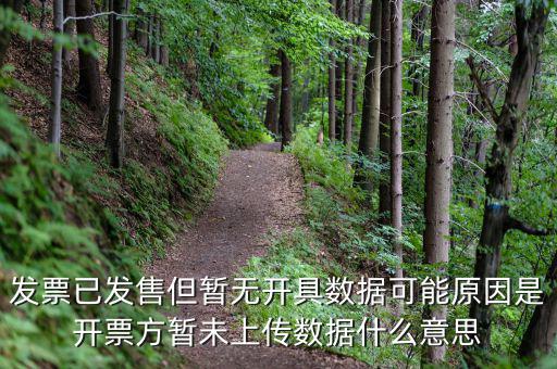 百旺的開票未上傳是什么意思，發(fā)票已發(fā)售但暫無開具數(shù)據(jù)可能原因是開票方暫未上傳數(shù)據(jù)什么意思