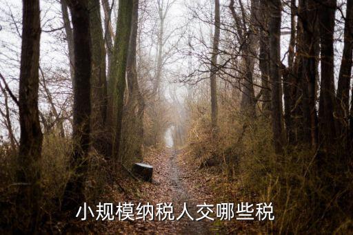 小規(guī)模都交什么稅，小規(guī)模納稅人要交什么稅
