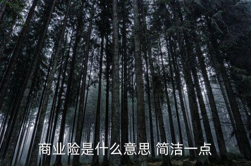 商業(yè)險是什么意思 簡潔一點(diǎn)