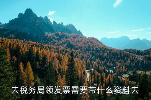 領(lǐng)定額發(fā)票需要帶什么，去稅務(wù)局領(lǐng)發(fā)票需要帶什么資料去