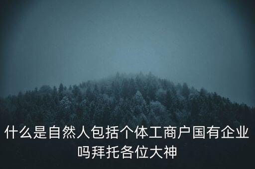 什么是稅務(wù)中的自然人，會計中自然人所指的是那種人
