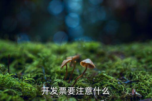 第一次開票注意什么，開發(fā)票要注意什么