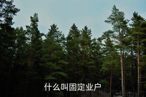 什么叫固定業(yè)戶(hù)