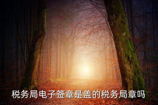 稅務(wù)局電子簽章是什么，在國稅系統(tǒng)電子簽章時(shí)為什么不是每次都提示輸入口令