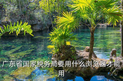 報(bào)稅要什么瀏覽器，山東國稅網(wǎng)上申報(bào)系統(tǒng)需要什么瀏覽器