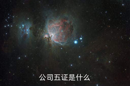 一般納稅人五證是什么意思，一般情況下公司的五證指得都是什么證