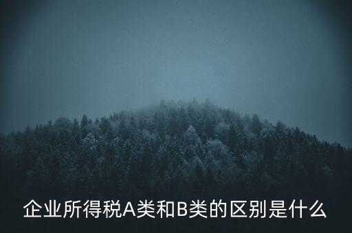 企業(yè)所得稅b類是什么意思，企業(yè)所得稅A類和B類的區(qū)別是什么