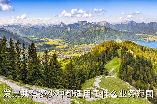 什么業(yè)務(wù)應(yīng)該專業(yè)發(fā)票，單位收費(fèi)開票1定要專業(yè)的