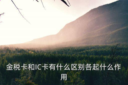 報(bào)稅ic卡是什么，報(bào)稅IC卡是什么東西有什么用