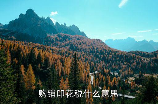 什么是購銷印花稅，購銷印花稅什么意思