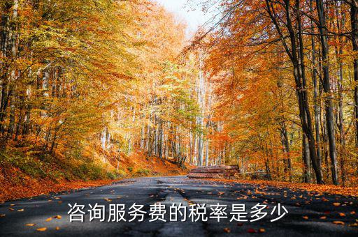 咨詢服務(wù)交什么稅，公司收到一筆咨詢費(fèi)應(yīng)該如何納稅稅率是多少急謝謝