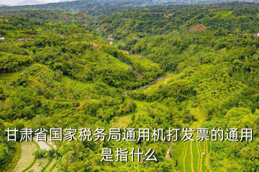 山西省稅務局六最是指什么，甘肅省國家稅務局通用機打發(fā)票的通用是指什么