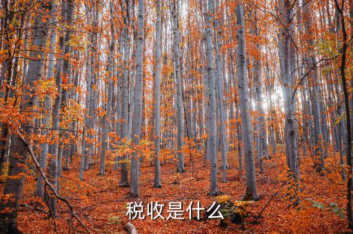 稅務(wù)的稅稅通是什么，稅收通用繳款書上的代碼指的是什么