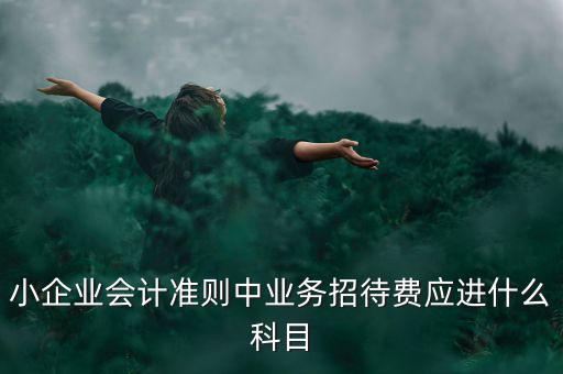 小企業(yè)發(fā)生的業(yè)務(wù)招待費(fèi)通過什么科目核算，業(yè)務(wù)招待費(fèi)屬于什么會計科目