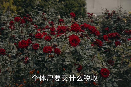新開個體戶要交什么稅，我想開個小店當個體戶請問要交什么稅