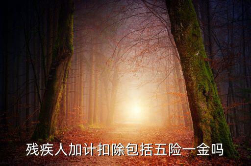 殘疾人加計扣除是什么意思，福利企業(yè)殘疾職工工資百分百加計扣除是怎么回事