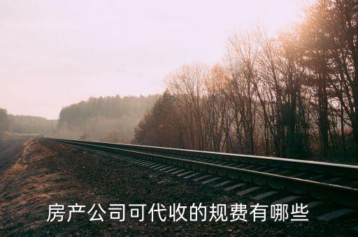 房產公司可代收的規(guī)費有哪些