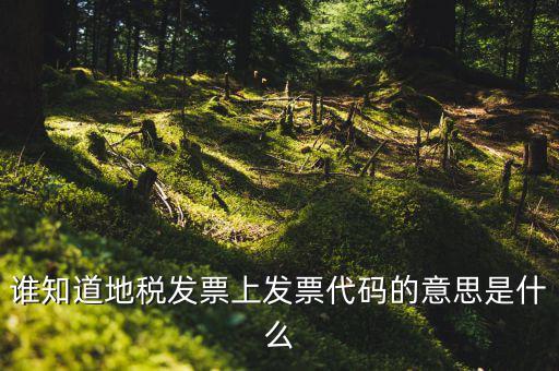 河北地稅發(fā)票的查詢碼是什么意思，如何查詢地稅發(fā)票開票點(diǎn)注冊(cè)碼是什么