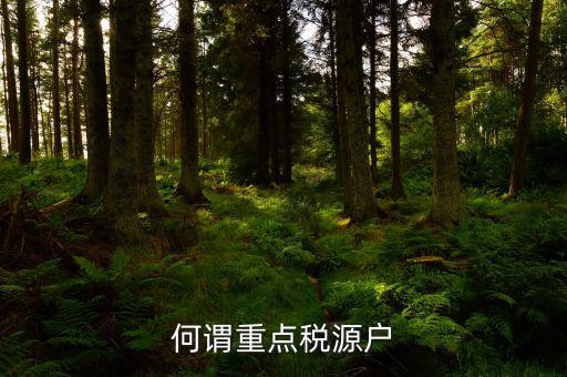為什么要填重點稅源啊，重點稅源的介紹