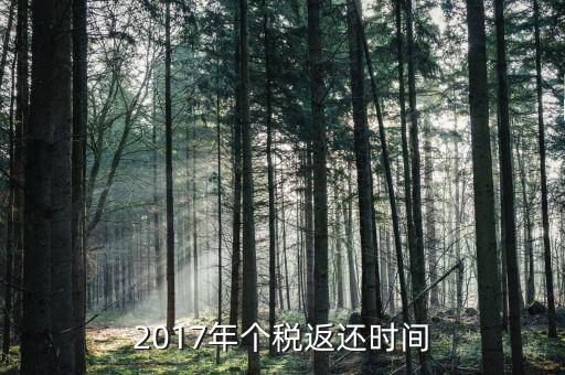 2017年交稅什么時候停止，2017年個稅返還時間