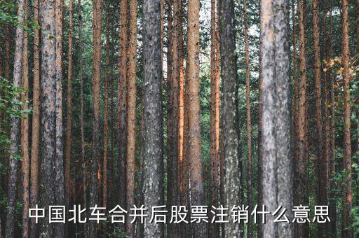 聯(lián)合注銷是什么意思，我們現(xiàn)在兩家公司要合并注冊資本沒有變換了法人換了注冊地