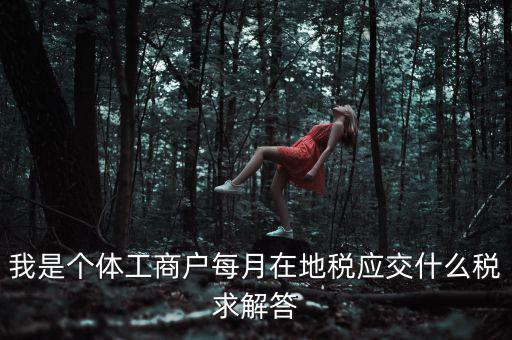 個體戶地稅局交什么稅，個體經(jīng)營戶地稅是按什么標準收費的