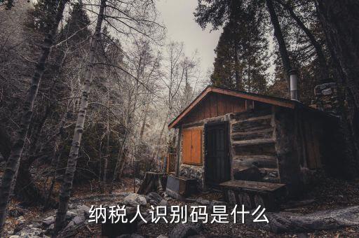 稅務(wù)識別碼有什么用，納稅人識別碼是什么