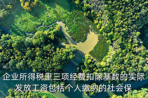 企業(yè)所得稅里三項(xiàng)經(jīng)費(fèi)扣除基數(shù)的實(shí)際發(fā)放工資包括個人繳納的社會保