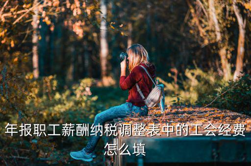 工會(huì)經(jīng)費(fèi)減除項(xiàng)填什么，網(wǎng)上報(bào)稅時(shí)又多了一項(xiàng)工會(huì)經(jīng)費(fèi)怎樣填寫計(jì)算