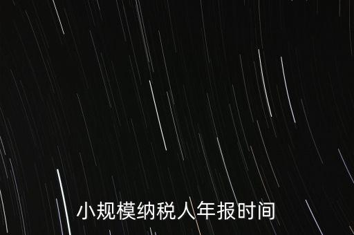 納稅申報(bào)年報(bào)什么時(shí)候，小規(guī)模納稅人年報(bào)時(shí)間