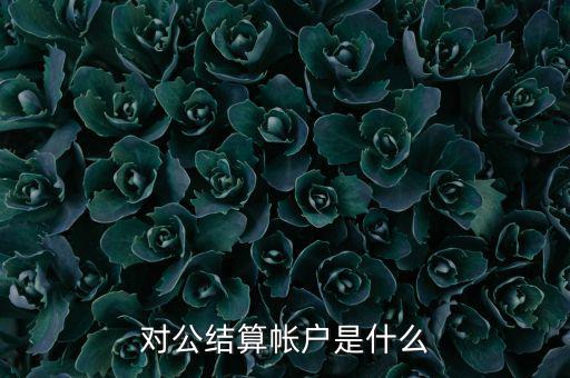 什么是稅務(wù)待結(jié)算賬戶，結(jié)算賬戶有哪些