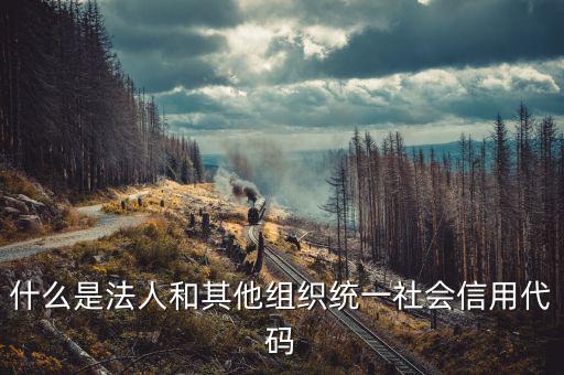 統(tǒng)一社會信用碼是什么意思，深圳碼統(tǒng)一社會信用代碼是什么
