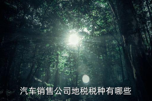 銷售汽車?yán)U納什么稅，一般納稅人公司銷售使用過的汽車要交哪些稅
