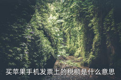 發(fā)票上的稅額是什么意思，買蘋果手機發(fā)票上的稅額是什么意思
