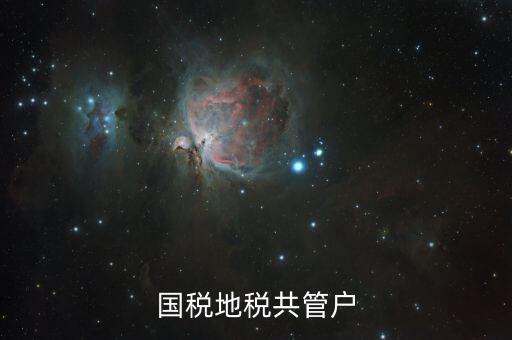 國地稅共管戶是什么意思，國地稅共管戶比對清理是什么意思