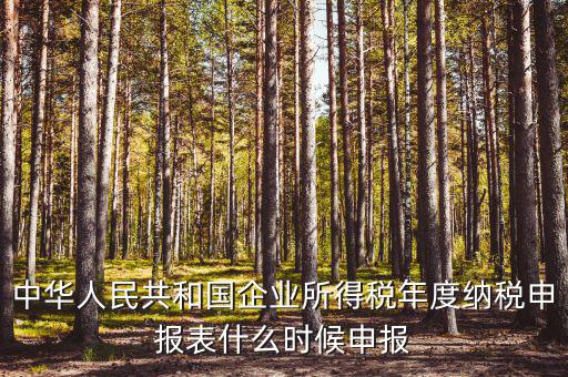 國(guó)稅企業(yè)所得稅什么時(shí)候申報(bào)，企業(yè)所得稅申報(bào)時(shí)間