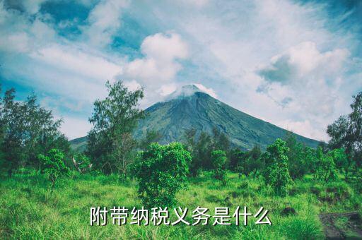 納稅資格附件是什么，附帶納稅義務是什么