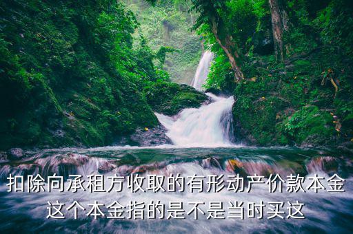 有形動(dòng)產(chǎn)價(jià)款本金是什么，金融行業(yè)說(shuō)的本金是什么意思